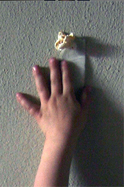 20090414foto2 20090414foto2