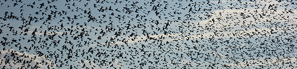 20090504spam 20090504spam