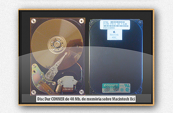 Regal disc Regal disc